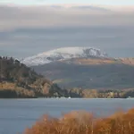 The Wonky Nest * Windermere